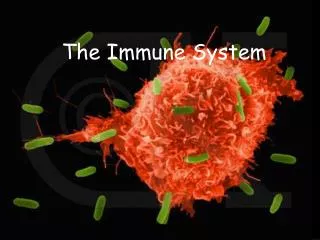 The Immune System