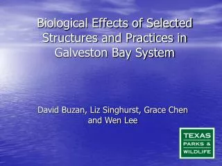 Biological Effects of Selected Structures and Practices in Galveston Bay System