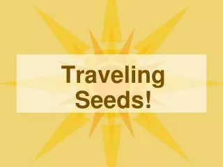Traveling Seeds!