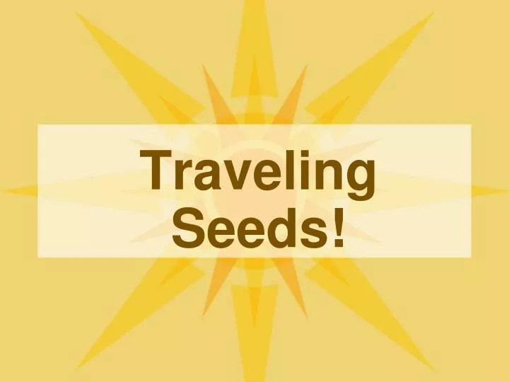 traveling seeds