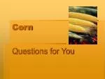 Corn - slide 1
