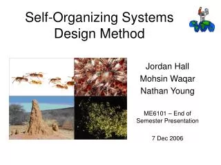 Self-Organizing Systems Design Method