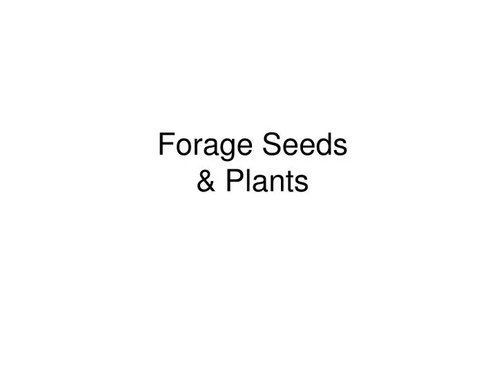forage seeds plants