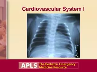 Cardiovascular System I