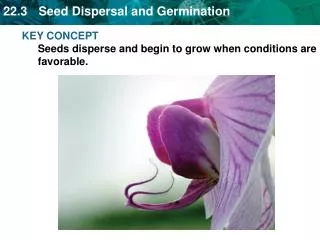 KEY CONCEPT Seeds disperse and begin to grow when conditions are favorable.
