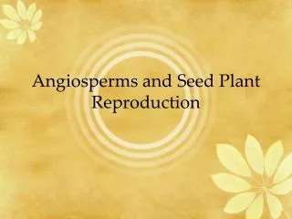 Angiosperms and Seed Plant Reproduction