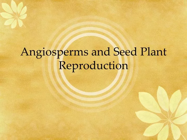 angiosperms and seed plant reproduction