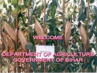WELCOME DEPARTMENT OF AGRICULTURE GOVERNMENT OF BIHAR