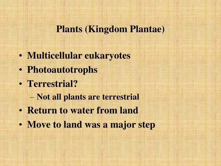 plants kingdom plantae