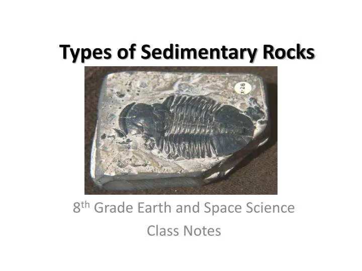 types of sedimentary rocks