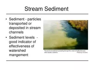 Stream Sediment