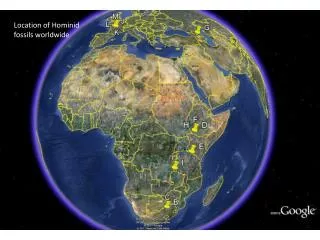 Location of Hominid fossils worldwide