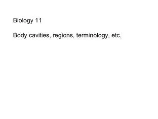 Biology 11 Body cavities, regions, terminology, etc.