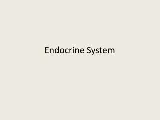 Endocrine System