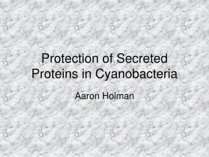 protection of secreted proteins in cyanobacteria