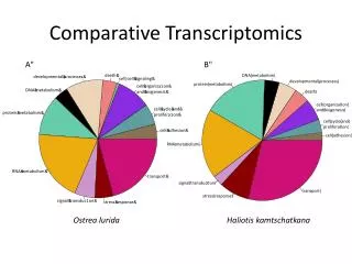 Comparative Transcriptomics