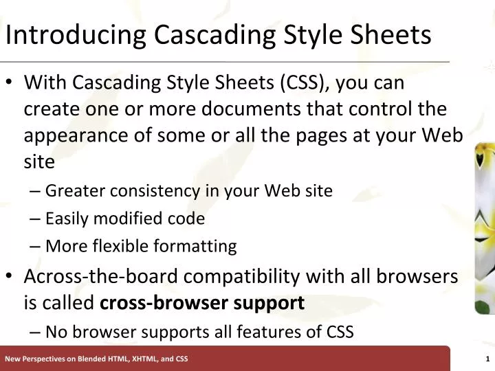 introducing cascading style sheets