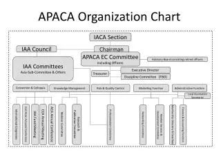 APACA Organization Chart