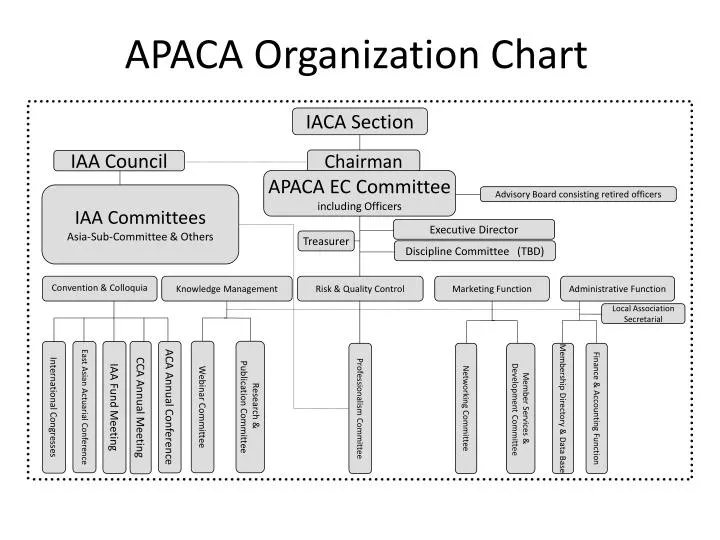apaca organization chart