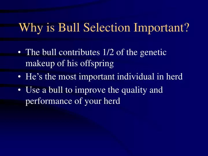 why is bull selection important