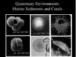 Quaternary Environments Marine Sediments and Corals