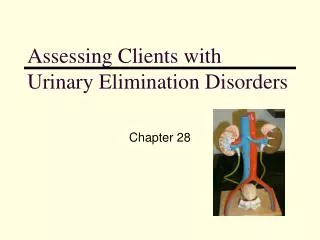 Assessing Clients with Urinary Elimination Disorders