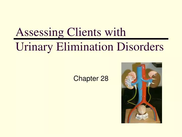 assessing clients with urinary elimination disorders