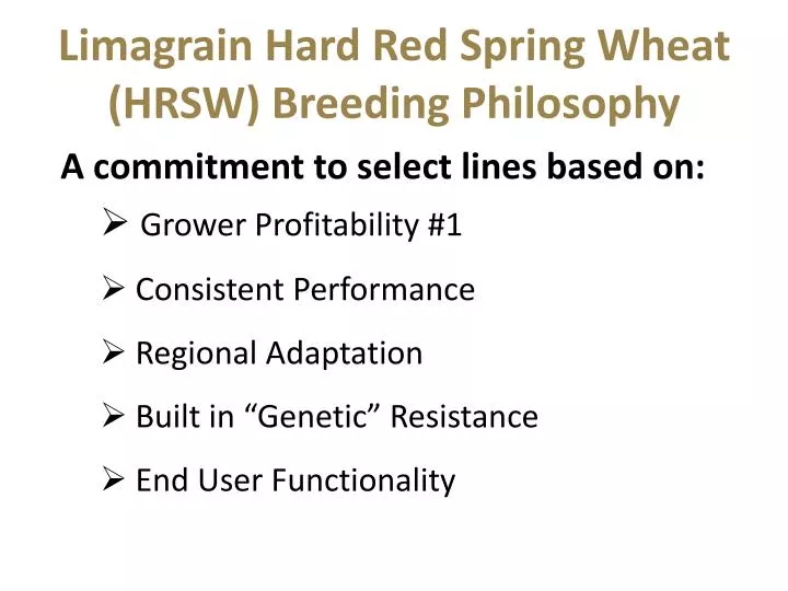 limagrain hard red spring wheat hrsw breeding philosophy