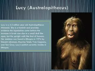 Lucy (Australopithecus)