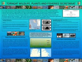 TORNGAT WILDLIFE, PLANTS AND FISHERIES SECRETARIAT