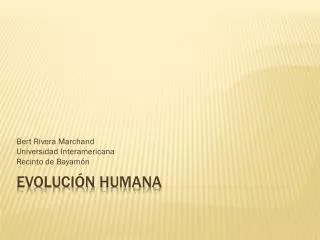 bert rivera marchand universidad interamericana recinto de bayam n
