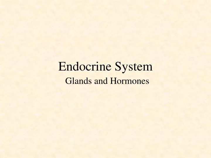 endocrine system