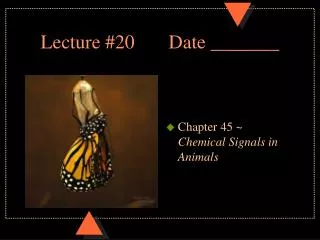 Lecture #20		Date _______