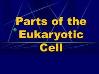 Parts of the Eukaryotic Cell