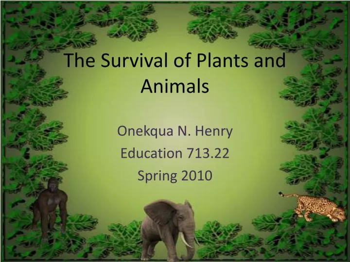 the survival of plants and animals