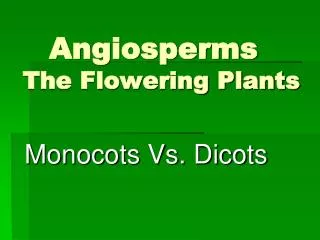 Angiosperms	 The Flowering Plants