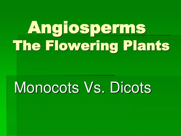 angiosperms the flowering plants