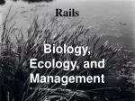Rails - slide 1