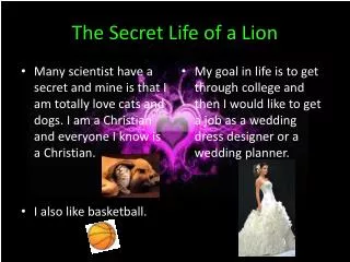 The Secret Life of a Lion