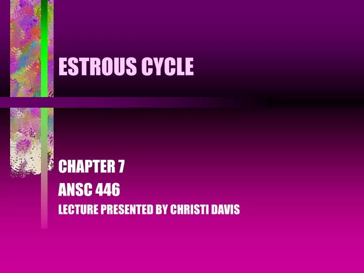 estrous cycle
