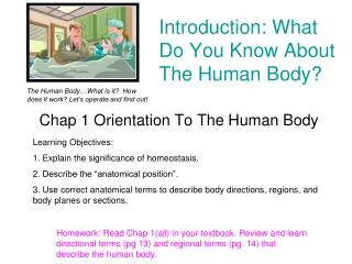 Introduction: What Do You Know About The Human Body?