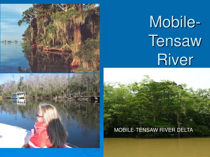 mobile tensaw river delta