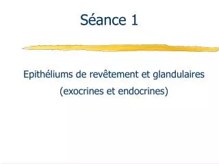 s ance 1