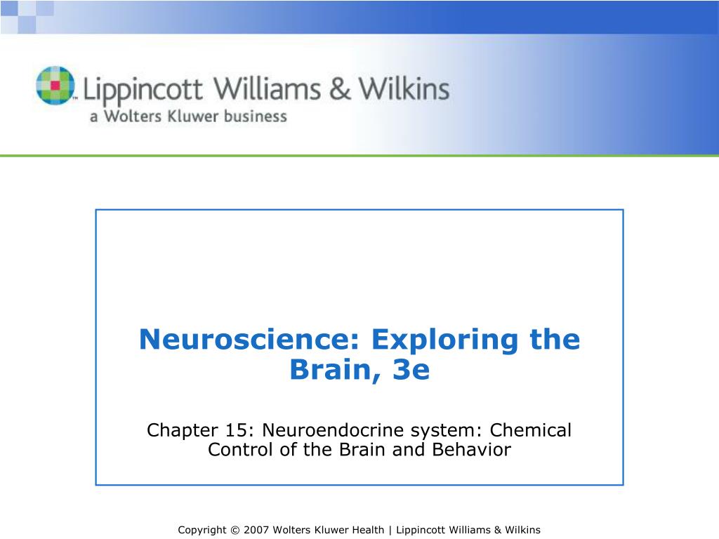 PPT - Neuroscience: Exploring the Brain, 3e PowerPoint Presentation ...