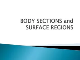 BODY SECTIONS and SURFACE REGIONS