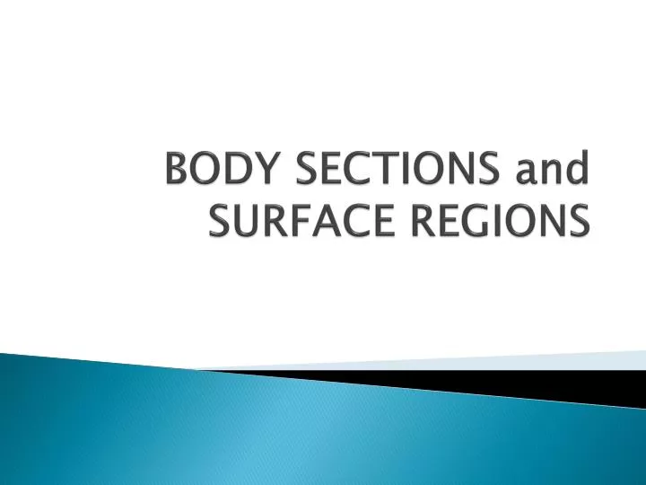 body sections and surface regions