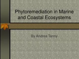 Phytoremediation in Marine and Coastal Ecosystems
