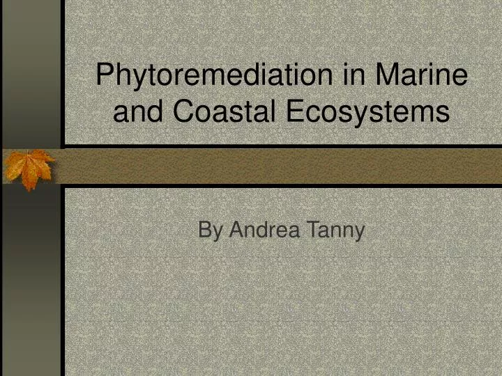 phytoremediation in marine and coastal ecosystems