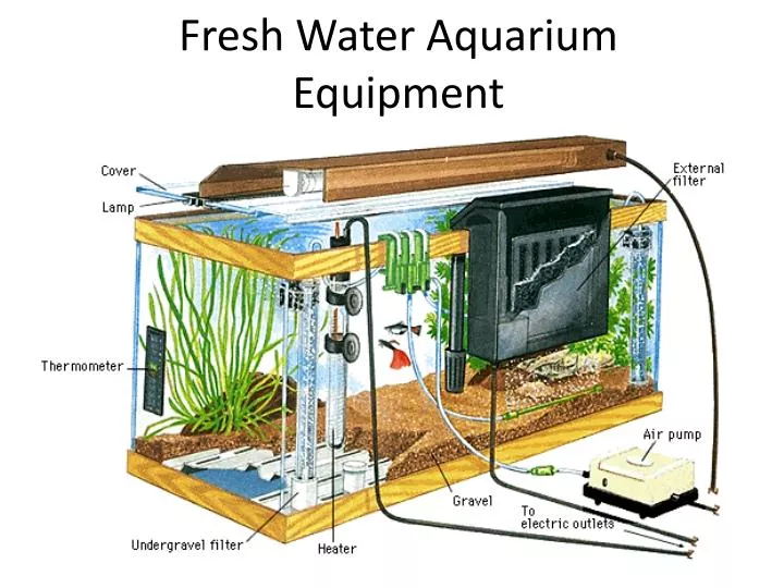 fresh water aquarium equipment