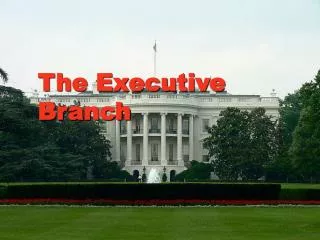 The Executive Branch